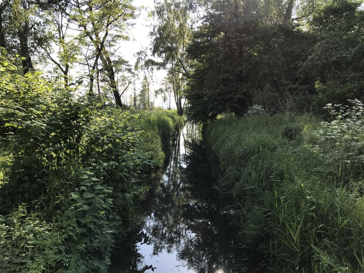 Brda Dziwnówek Willa Zewnętrze zdjęcie